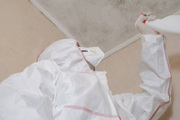 Best Mold Removal Near Me  in Winfield, IL