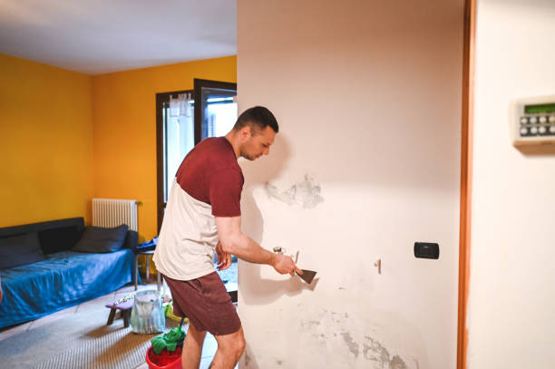 Best Emergency Mold Removal  in Winfield, IL